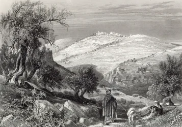 El Monte de los Olivos desde el Monte Sion (grabado por S. Bradshaw)